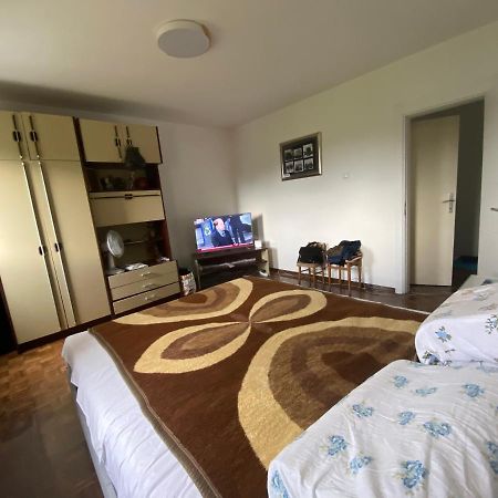 Ferienwohnung Novi Beograd Dr.Agostina Neta Exterior foto